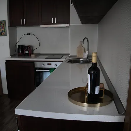 Apartment Parkview Complex Large Flat Next To Lift Bansko