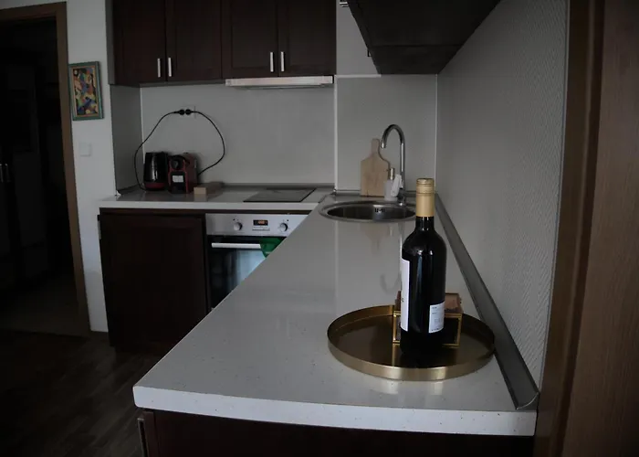 Apartment Parkview Complex Large Flat Next To Lift Bansko